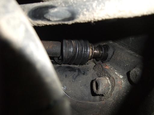 DSCF7060.JPG