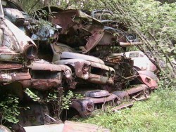 volvo pv.jpg