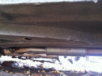 IMG_0241[1].gif