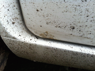 IMG_0244[1].gif