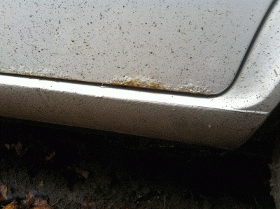 IMG_0245[1].gif