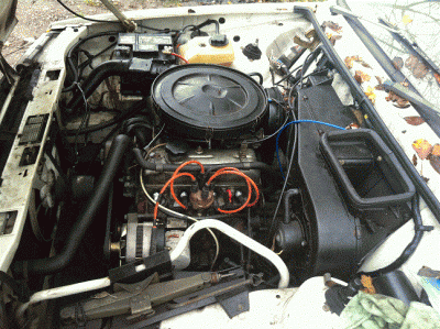 IMG_0246[1].gif