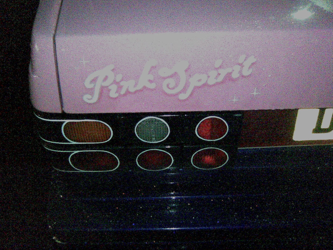pink spirit3.jpg