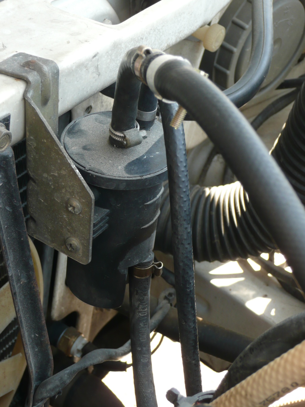 P1030982 - Copie.JPG